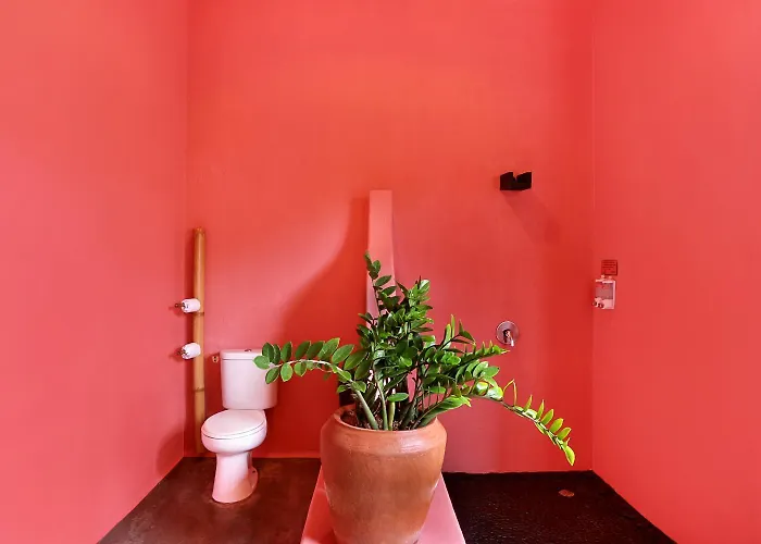 Pinkcoco - Constant Surprises & For Cool Adults Only ホテル 3*