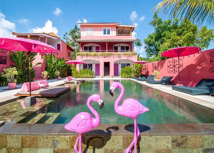 Pinkcoco - Constant Surprises & For Cool Adults Only فندق