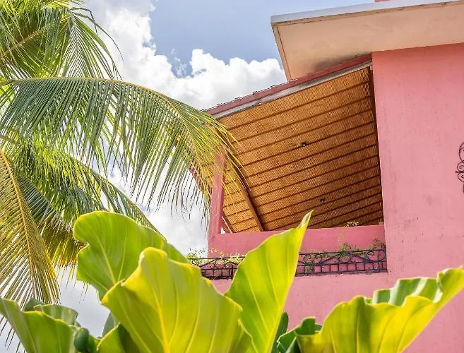 Pinkcoco - Constant Surprises & For Cool Adults Only 3*