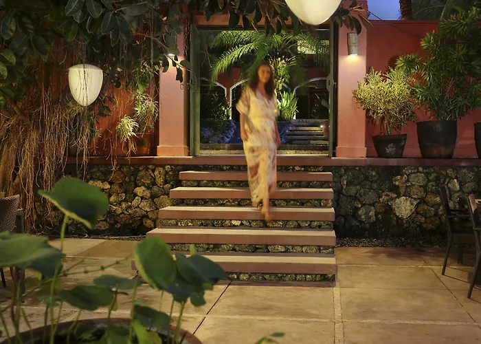 Pinkcoco - Constant Surprises & For Cool Adults Only ホテル 3*